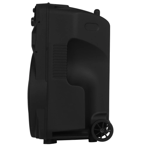 Колонка портативная BLACKTON PBS2112 40Вт,2000мАч, FM, AUX, USB, Bluetooth 5.0 Черный фото 5