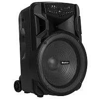 Колонка портативная BLACKTON PBS2115 40Вт,2200мАч, FM, AUX, USB, Bluetooth 5.0 ДУ Черный