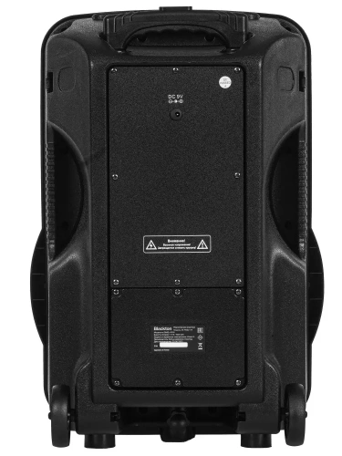 Колонка портативная BLACKTON PBS2114 40Вт,2200мАч, FM, AUX, USB, Bluetooth 5.0 ДУ Черный фото 6