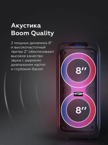 Колонка портативная BQ PBS3004 80Вт,5500мАч, FM, Powerbank, AUX, USB, Bluetooth 5.0+BDR ДУ Черный фото 6