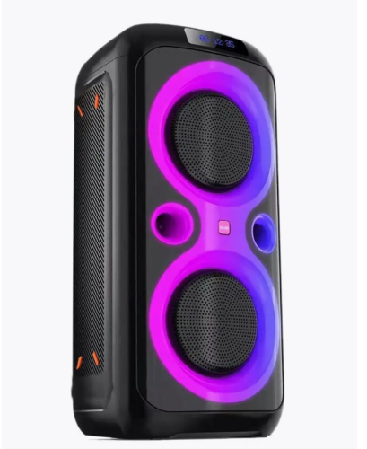 Колонка портативная BQ PBS1007 25Вт, 3600мАч, FM, AUX, TWS, USB, Bluetooth 5.0, подсветка Черный