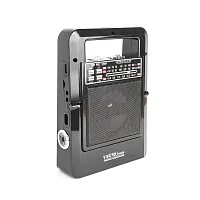 Радиоприемник Vikend Travele бат.2*R20,акб 1200мА/ч,USB/TF,солн.бат.
